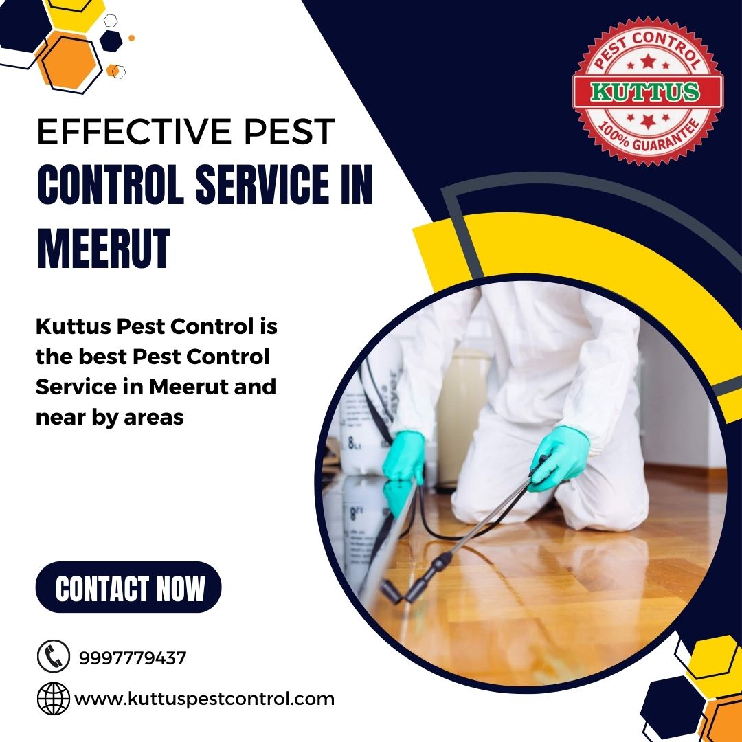 Effective Pest Control Service in Meerut